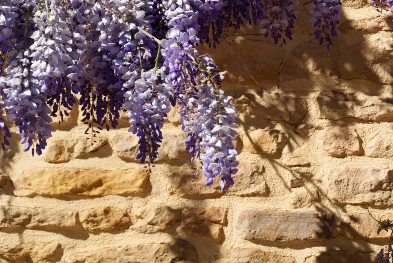Saint-Germain-Nuelles Lodges En Pierres Dorees מראה חיצוני תמונה